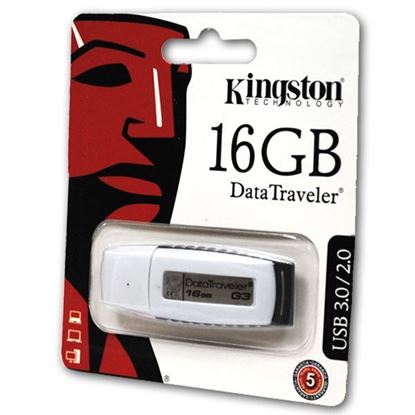 Изображение USB накопитель Kingstоn 16Gb бело-чёрный